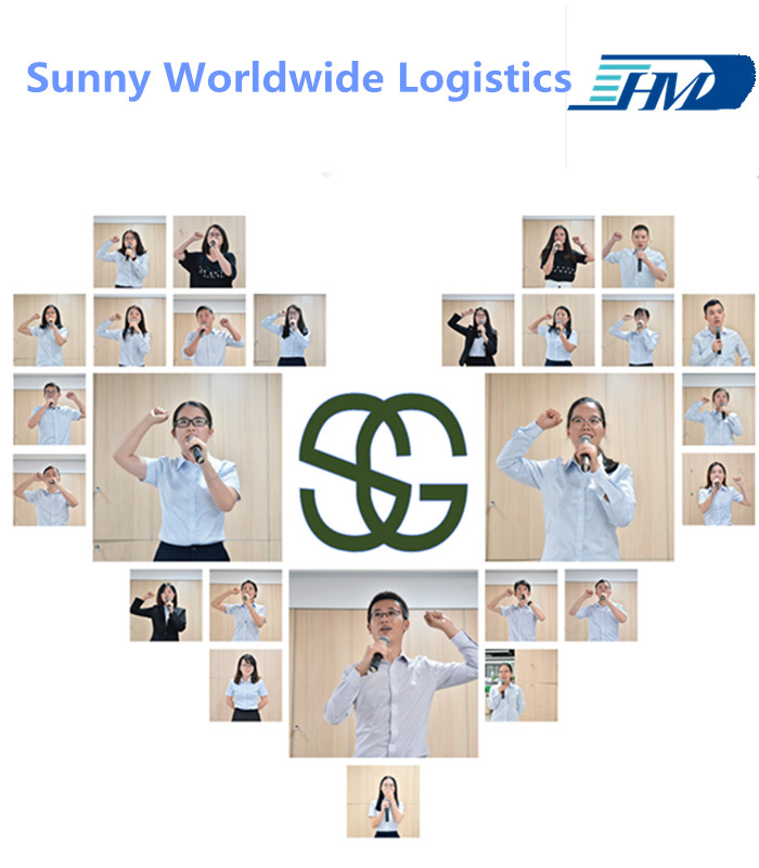 Door to Door Delivery Logistics Services Company Air Cargo Freight China to USA