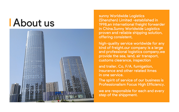 Professional Freight Forwarder Agent Door to Door Service From China to Germany by Sea