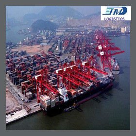 De Shenzhen a Suva FCL contanier marítimo agente de transporte marítimo