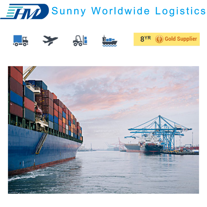 Shenzhen China DDP sea shipping to France FBA warehouse