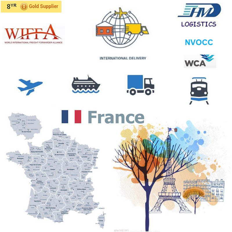 Shipping logistics company sea freight from shenzhen to France