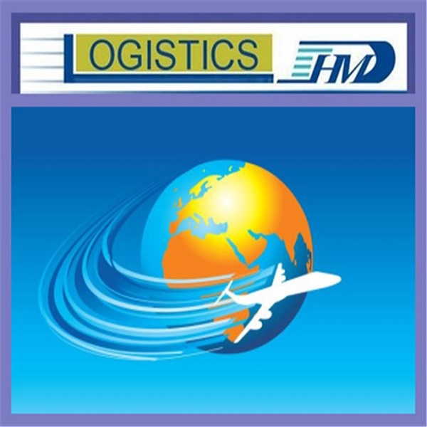 Professional sea freight services from China to Dubai