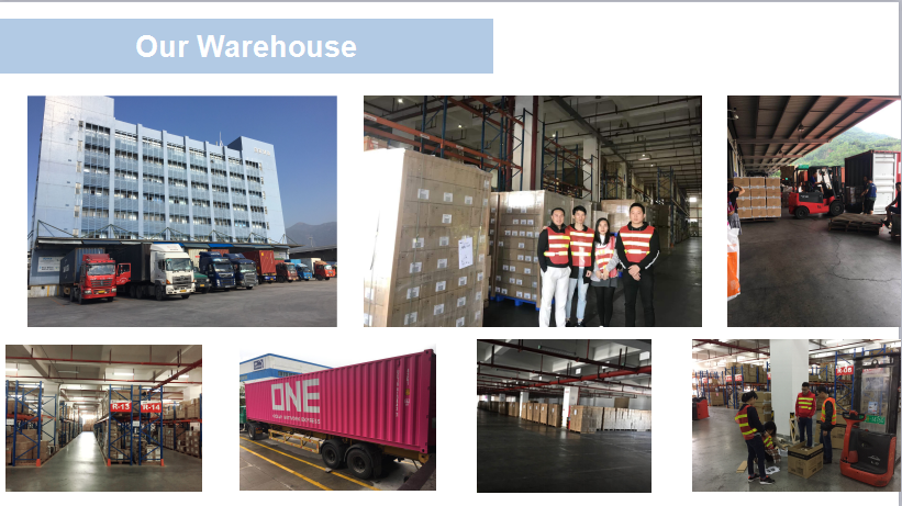 Sunny worldwide logistics Knowledge Sharing Sea Freight Bulk Cabinet