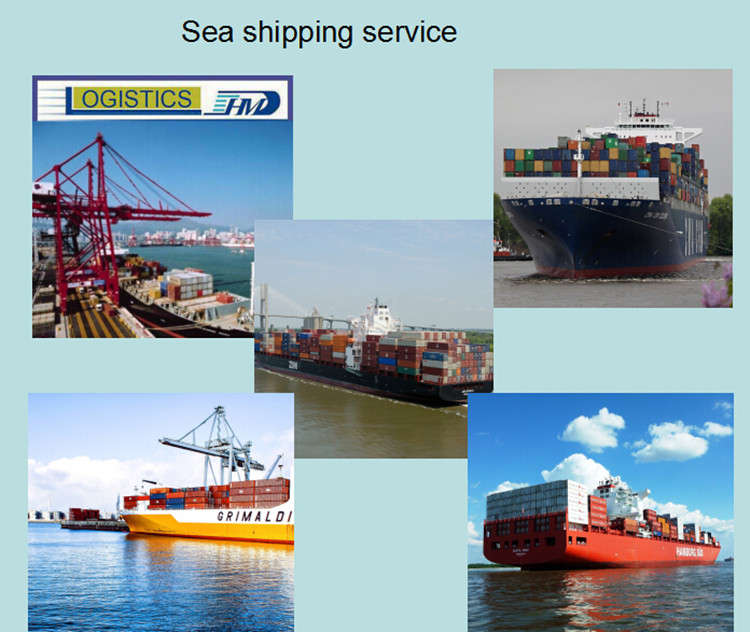 International forwarder shipping from Guangzhou to Chicago USA DDU sea shipping freight rate