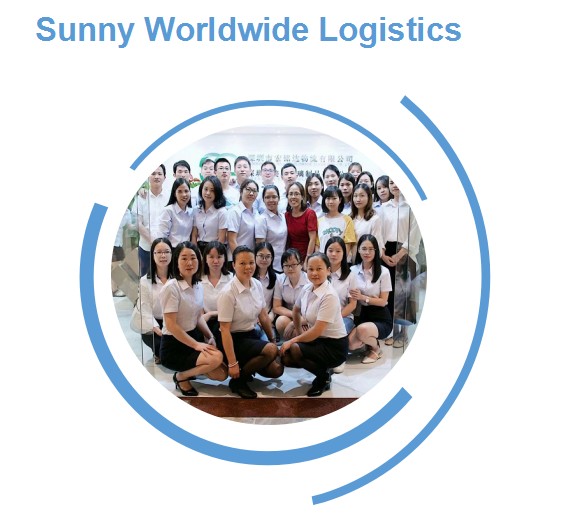 Shenzhen shipping freight forwarder sea shipping to Miami USA door to door