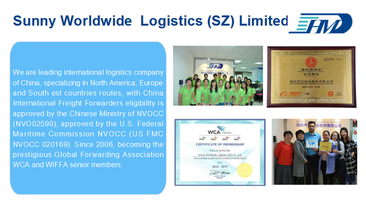 China to FOS Port France Freight Forwarder Service