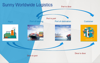 China international sea freight to Algeria shipping service