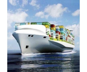 Cheap lcl sea cargo freight from Qingdao to Venice