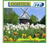 The preferential benefit express freight from China to the Netherlands