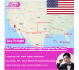 z Guangzhou / Shenzhen China do USA od drzwi do drzwi forward agent