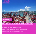 China to France Door to door Tax-included transportation service