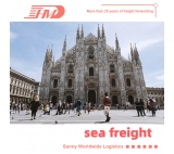 40HQ sea shipping services door to door delivery from shenzhen to Italy sea freight