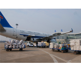 Servicio de transporte aéreo a domicilio desde Singapur