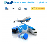 Lotniczy spedytor od Shenzhen Guangzhou wysyłki do Słowenii