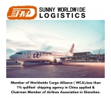 Air freight service from China to Spain Amazon customs clearance DDP