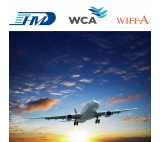 Agente de transporte aéreo de China a Londres, servicio puerta a puerta.