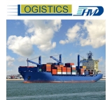 Cheap Ocean Cargo Freight Shenzhen to New Delhi