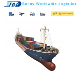 China Qingdao Sea Freight Forwarder to the United States