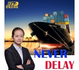 China Shenzhen to the United Kingdom Amazon sea door to door service