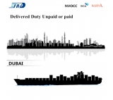 China ocean freight forwarder sea shipment to DUBAI from China by international logistic company