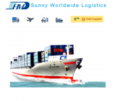 China shipping agent from DDU sea freight to Boston USA door to door