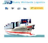 Chiny spedytor z transportu morskiego DDU do Bostonu USA od drzwi do drzwi
