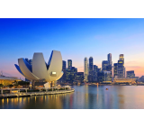 Convenient bulk cargo shipping from China to Singapore