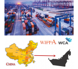 Customs Clearance Shipping Cost China to Dubai Sea Freight Rate