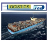 DDP sea freight agents from Foshan Guangzhou Shenzhen to Singapore