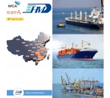 DDP sea freight forwarding from Guangzhou to Singapore