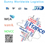 DDU DDP shipping sea freight from Shenzhen China to Paris China