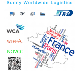 DDU DDP wysyła fracht morski z Shenzhen China do Paris China