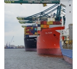 Dongguan China sea shipping to Rotterdam Netherlands FCL freight