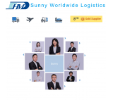 Dongguan freight forwarder sea shipping china to france