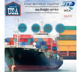 Shipping Logistics Service Sea Freight Shipping Qingdao To Canada