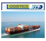 Door to door delivery service sea freight forwarder ocean freight ddu ddp from China to Amsterdam Netherland