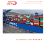FCL LCL usługa logistyki transportu morskiego z Shenzhen do Dubaju