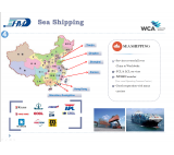 FCL and LCL sea freight company door to door delivery service from China to Auckland New Zealand DDP DAP