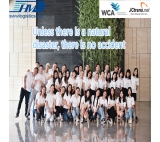 FCL container shipping from China to Egypt