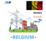 Freight Forwarder China Shipping to Belgium Cargo Shipping