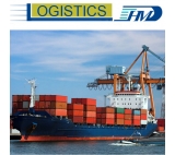 From China Shipping to Damietta FCL Sea freight Forwarder