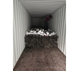 Desde China hasta Argelia utilizó un contenedor de servicios de logística de contenedores 20 pies 40 pies Sea Ship