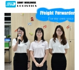 From Shenzhen, China to Manila, Philippines LCL Shipping FCL Shipping Agent 20GP 40HQ