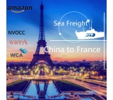 Guang dong fast sea freight forwarder to France