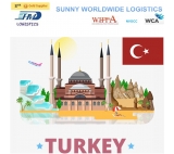 International logistics from china to Istanbul Turkey air freight
