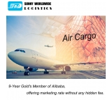 International professional freight forwarding from Shenzhen to Qatar