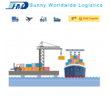 International sea freight door to door service Shenzhen to Singapore