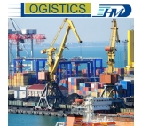 Logistic Agent Shipping from China to Netherlands Cargo Shipping