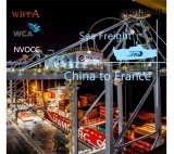 Ocean Freight Rates China Sea Freight to France LCL Shipping