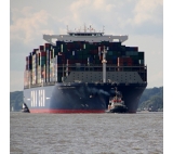 Professional LCL sea freight  DAP logistics service from Shenzhen to Melbourne
